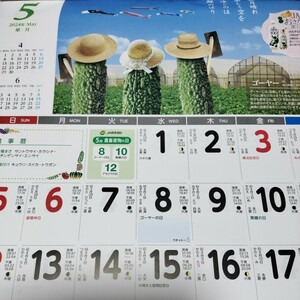 送料350〜　令和6年　壁掛けカレンダー　非売品　JA　沖縄　年中行事　農事暦　潮見表　沖縄野菜やフルーツ　