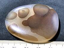 海洋玉髄　オーシャンカルセドニー　デンドライト　しのぶ石　24・25g（マダガスカル産鉱物標本）_画像6