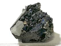 内蒙古産の磁鉄鉱と灰重石の共生・64g（中国産鉱物標本）_画像5