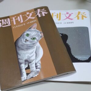 【週刊文春2冊】2023年11月16日号と11月23日号