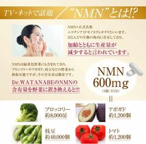 ④Dr.Watanabe NMN 18000㎎ サプリメント 日本製 _画像5