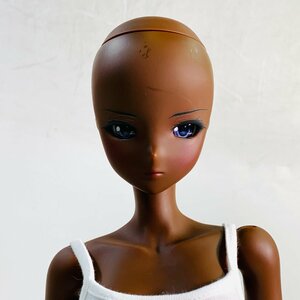 中古品 MIRAI スマートドール Smart Doll マジェスティー Majesty ココア Cocoa ウィッグ 下着 付き