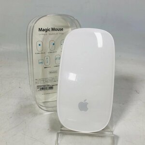 Apple Magic Mouse MB829J/A