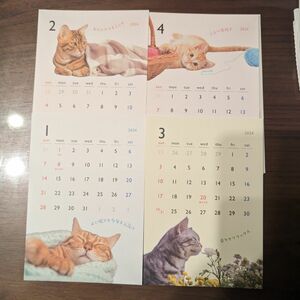 元気な毎日 可愛い猫 カレンダー 2024