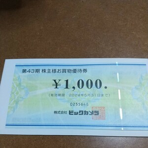 ビックカメラ　株主優待券　1000円　1枚