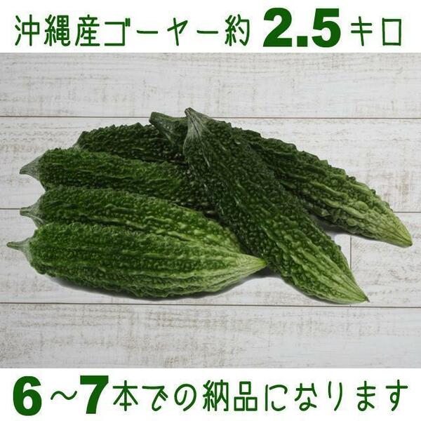 【送料込】沖縄産のゴーヤー約２．５キロ┃今夜の夕食は沖縄育ちの苦瓜でゴーヤーチャンプルー♪