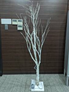 数日使用　白樺LEDツリー　White Birch LED Tree クリスマスツリー