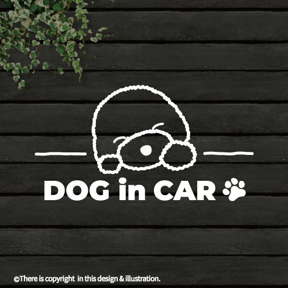 DOG IN CAR/ビションフリーゼ【カッティングステッカー】★手書きわんこ