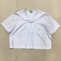 O383/(中古)兵庫県 陵南中学校 女子制服3点 /12/W72/丈65/セーラー/夏スカート/スカーフ/しもかわ/半袖/夏服/中学校/高校/女子学生/学生服_画像2