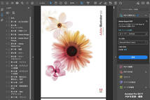 【実績多数で安心・日本語正規版】 Adobe CS2 　Illustrator / Photoshop 日本語版　Win10/11起動確認済 　インストール&起動簡単ガイド付_画像5