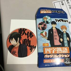 ◆ハイキュー 山口忠 軟体動物 四字熟語バッジコレクション 缶バッジ ②　【23/1227/01