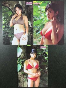 小向 美奈子　週刊チャンピオン　49・53・54　3枚セット　水着 AV女優 セクシー女優 グラビア アイドル トレカ トレーディングカード