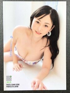 杉原 杏璃　～25th～Anniversary　RG10　水着 グラビア アイドル トレカ トレーディングカード