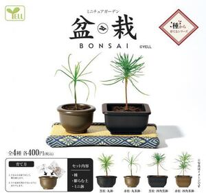 【新品未開封】ミニチュアガーデン〜盆栽(BONSAI)〜 全４種 ガチャ ミニチュア盆栽 カプセルトイ ELL