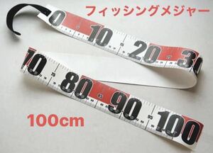 フィッシングメジャー　100cm 検索用 スケール　②