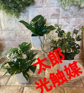 光触媒　人工観葉植物　ウォールグリーン　フェイクグリーン　3種白プラ@gja