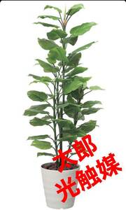光の楽園　光触媒　人工観葉植物　ウォールグリーン　フェイクグリーン　フレッシュポトス1.8