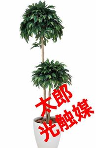 光の楽園　光触媒　人工観葉植物　ウォールグリーン　フェイクグリーン　ベンジャミン高さ1.6