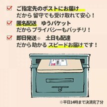 ガイロープ パラコード テント タープ ロープ キャンプ アウトドア 三角型 自在金具 4mm 4m 夜行 蓄光 登山 用 6本 セット 光る 丈夫_画像10