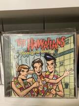 The Hawaiians 「Teenagers Love」CD 初回プレス盤　punk pop melodic Germany surf ramones queers sonic surf city stardumb beach boys_画像1