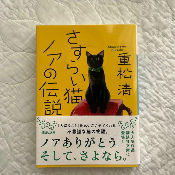 さすらい猫ノアの伝説 （講談社文庫　し６１－２６） 重松清／〔著〕