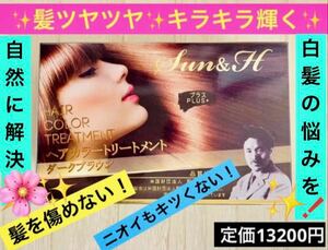 【送料無料！】Sun&H ヘアーカラートリートメント ダークブラウン 野口英世研究所 匿名配送♪