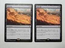 【MTG】葬送の影　日本語2枚セット　アモンケット　AKH　レア_画像1