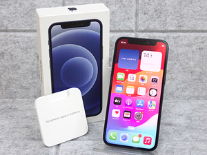 【中古】国内版 SIMフリー iPhone 12 mini 128GB ブラック 黒 MGDJ3J/A 本体 一括購入(NMA193-1)