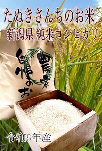 たぬきさんちのお米 新潟県純米コシヒカリ10kg