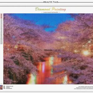 【351】ダイヤモンドアート　キット30×40ラウンドビーズ　川辺の桜並木