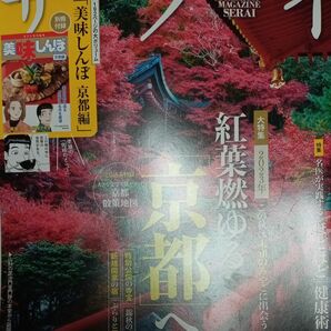 サライ ２０２３年１０月号 （小学館）