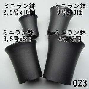 【023プラ鉢、プラスティック鉢 - 新品】ミニラン2.5号×10、3号×10、3.5号×5、4号×3