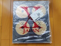 X JAPAN　TOKYO DOME LIVE DVD 購入者特典　非売品　レプリカ・ゴールドディスク・ディスプレイ　＊観賞用のため再生不可　YOSHIKI_画像1