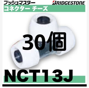 プッシュマスター　NCT13J 30個