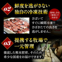 お歳暮 早割 からし蓮根プレゼント 馬刺し 国産 熊本 肉 ギフト 馬肉 馬刺 赤身 醤油付 5種 食べ比べ セット 5人前 250g 赤身 大トロ 霜_画像2