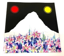 7418【中古品】　CDアルバム　フジファブリック　アラカルト　線香花火　桜並木、二つの傘　午前3時　浮雲　ダンス2000　茜色の夕日　邦楽_画像4