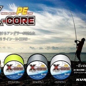 高強度PEライン■２号28lb・200m巻き グレー灰 単色  X-CORE シーバス 投げ釣り ジギング 船 ルアー エギング タイラバの画像3