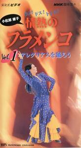 ●情熱のフラメンコ 第1巻「アレグリアスを踊ろう」VHSビデオ／小松原庸子・西田ひかる