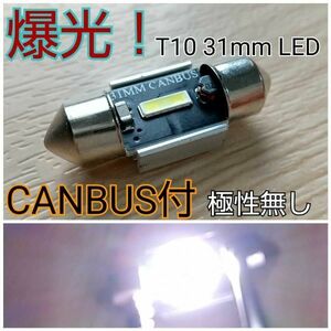 爆光！最新 T10 31mm CANBUS付 無極性 LED ホワイト ×1 ラゲッジクルーム ポジション ルームランプ トランクルーム ナンバー灯