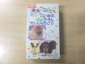 子ども用！ヴィンテージ！ビデオVHS『こいぬのワンちゃんだいしゅうごう』