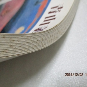 図録  『青山義雄 展 地中海感性の詩人   油彩109点+デッサン30点』    神奈川県立近代美術館    1988年の画像4