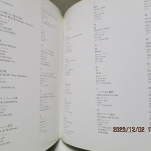 図録  『青山義雄 展 地中海感性の詩人   油彩109点+デッサン30点』    神奈川県立近代美術館    1988年の画像8