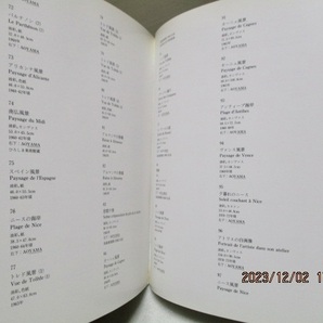 図録  『青山義雄 展 地中海感性の詩人   油彩109点+デッサン30点』    神奈川県立近代美術館    1988年の画像9