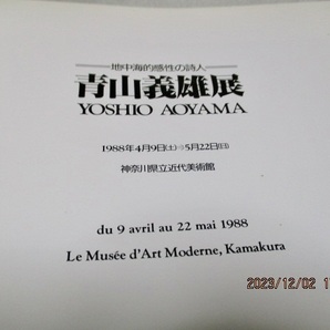 図録  『青山義雄 展 地中海感性の詩人   油彩109点+デッサン30点』    神奈川県立近代美術館    1988年の画像10