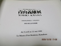 図録　　『青山義雄 展　地中海感性の詩人　　　油彩109点+デッサン30点』　　　　神奈川県立近代美術館　　　　1988年_画像10