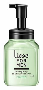 リーゼフォーメン ウォータリーホイップ 知的スタイル 本体 200ml (セット力:)