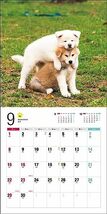 2024年カレンダー 秋田犬 (誠文堂新光社カレンダー)_画像4