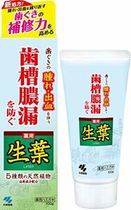 生葉(しょうよう) 歯槽膿漏を防ぐ 薬用ハミガキ 和漢ハーブの香味 100g