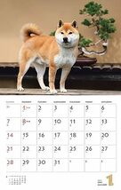 カレンダー2024 柴犬（月めくり/壁掛け） (ヤマケイカレンダー2024)_画像8