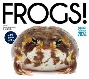 カレンダー2024 FROGS!（月めくり/壁掛け） (ヤマケイカレンダー2024)